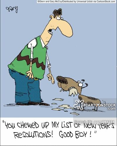 New Year's Resolution