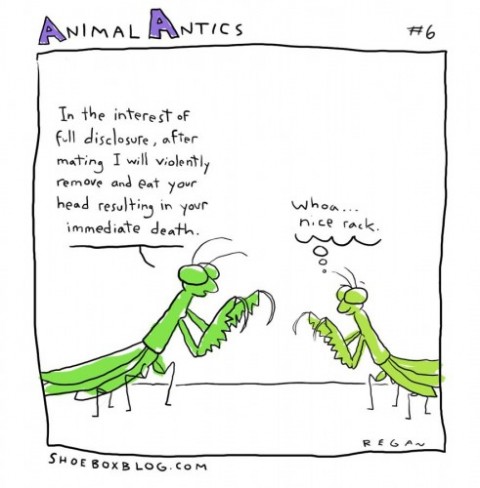 Cartoon!