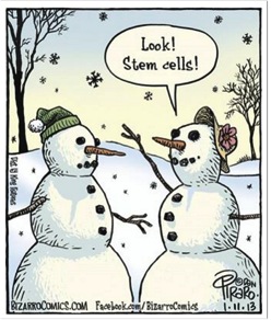 Stem Cell Cartoon