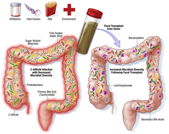 The goodness of poop!