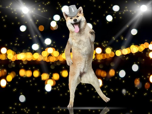 Dancing Dog