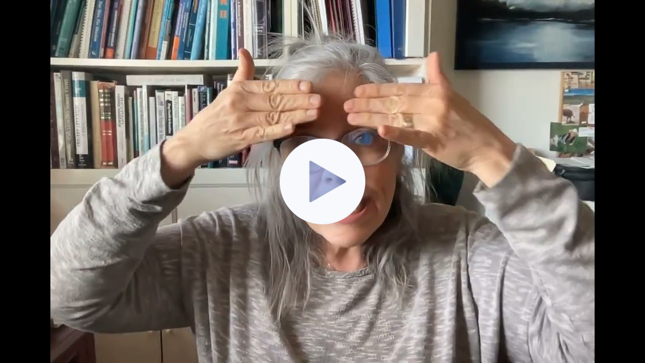 FourLegRehabMinute-TreatingBellsPalsy