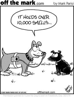 Cartoon