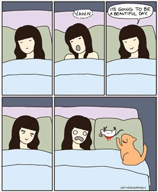 Cartoon