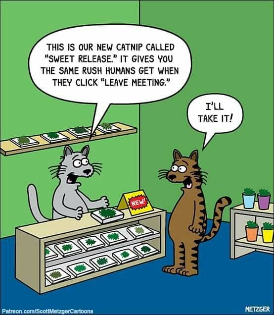 Cartoon