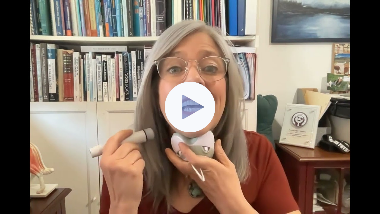 FourLegRehabMinute-NovelWaysToStimulateTheVagusNerve