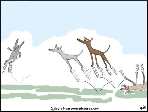 Greyhounds on Springs