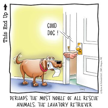 Cartoon