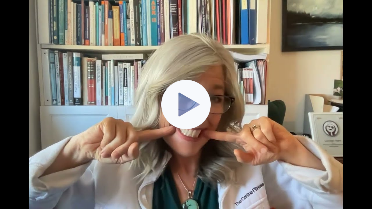 FourLegRehabMinute-Teeth&Dentals