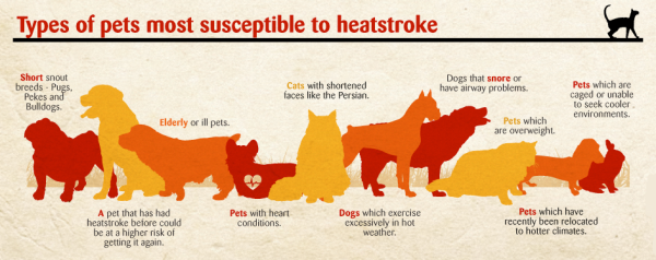 Heat Stroke