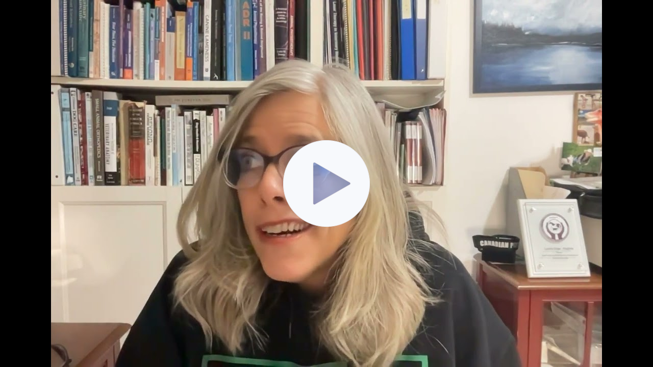 FourLegRehabMinute-StartingAnExercise