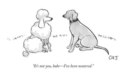 Cartoon!