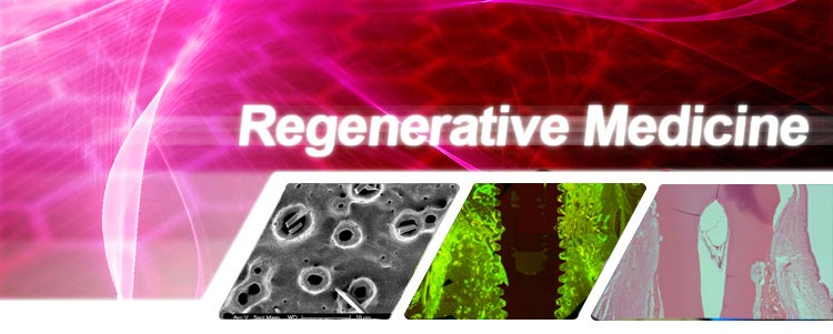 Regenerative Medicine