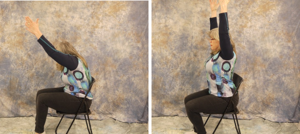Scapulothoracic Movement