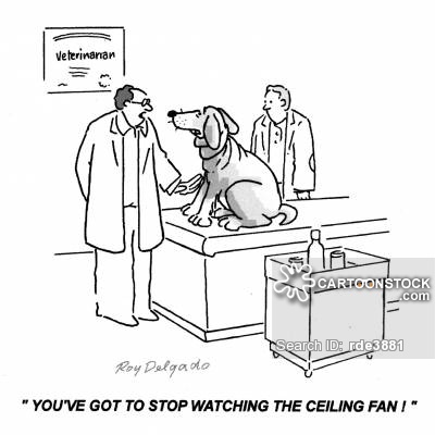 Cartoon