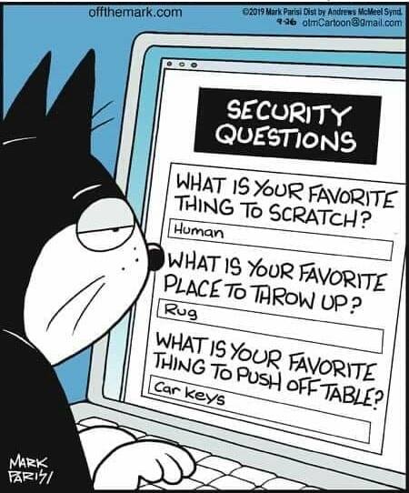 Cartoon