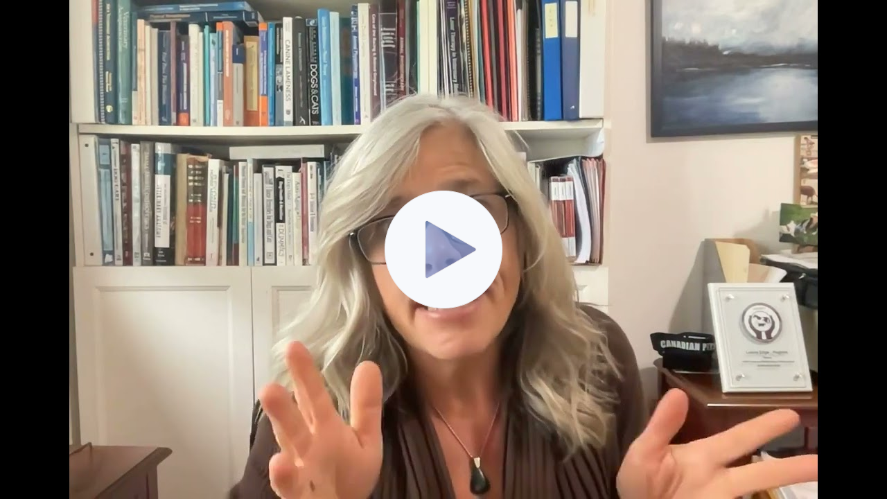 FourLegRehabMinute-Swimmer'sSyndrome
