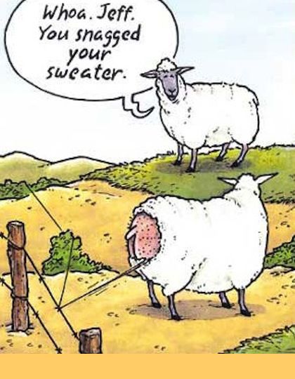 Cartoon!