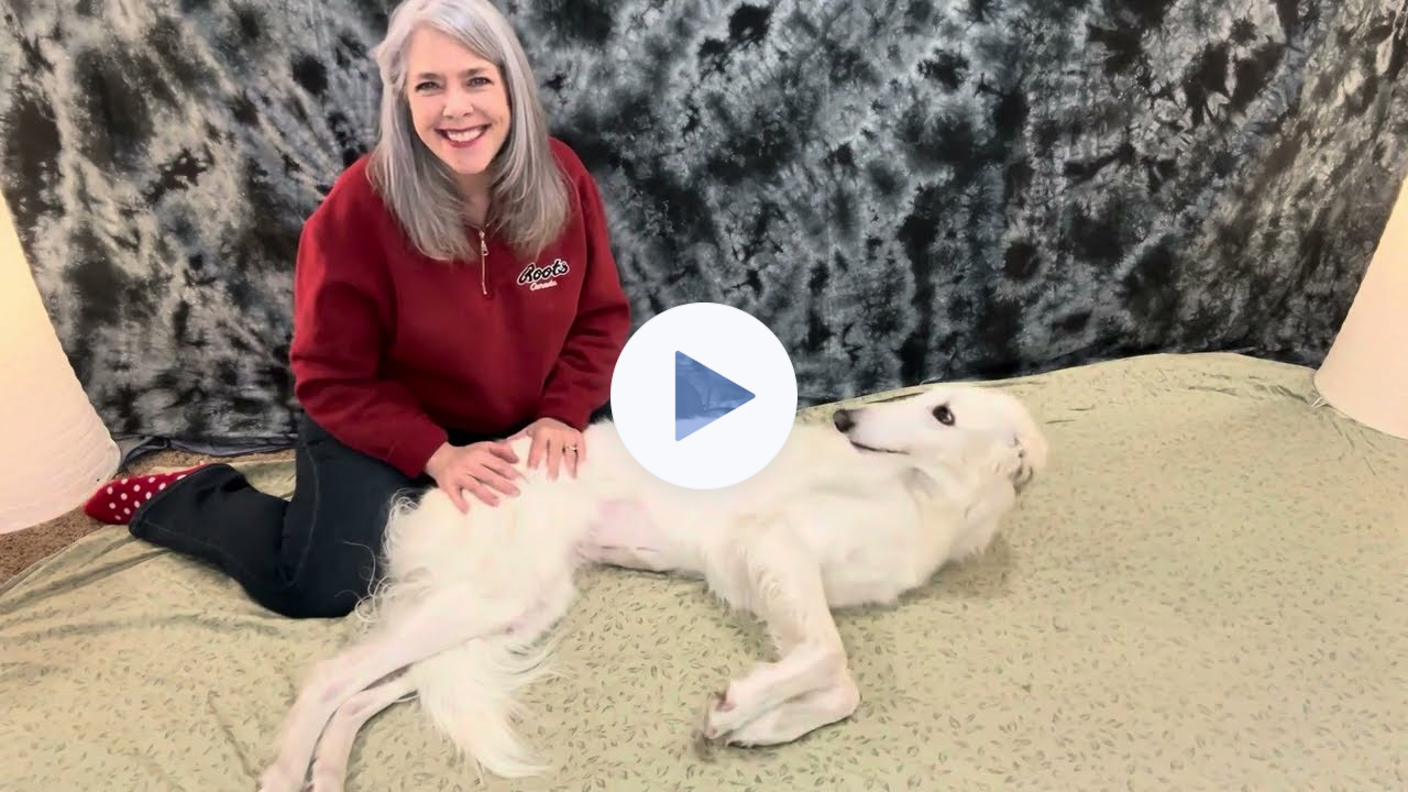 FourLegRehabMinute-EffleurageMassage