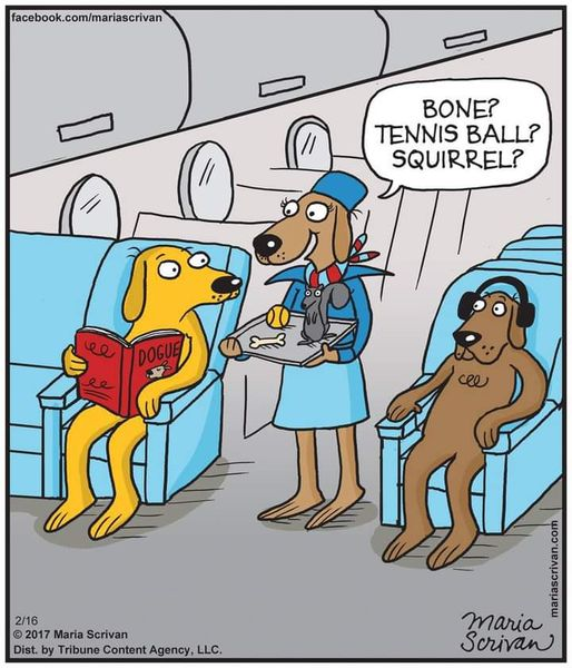 Cartoon