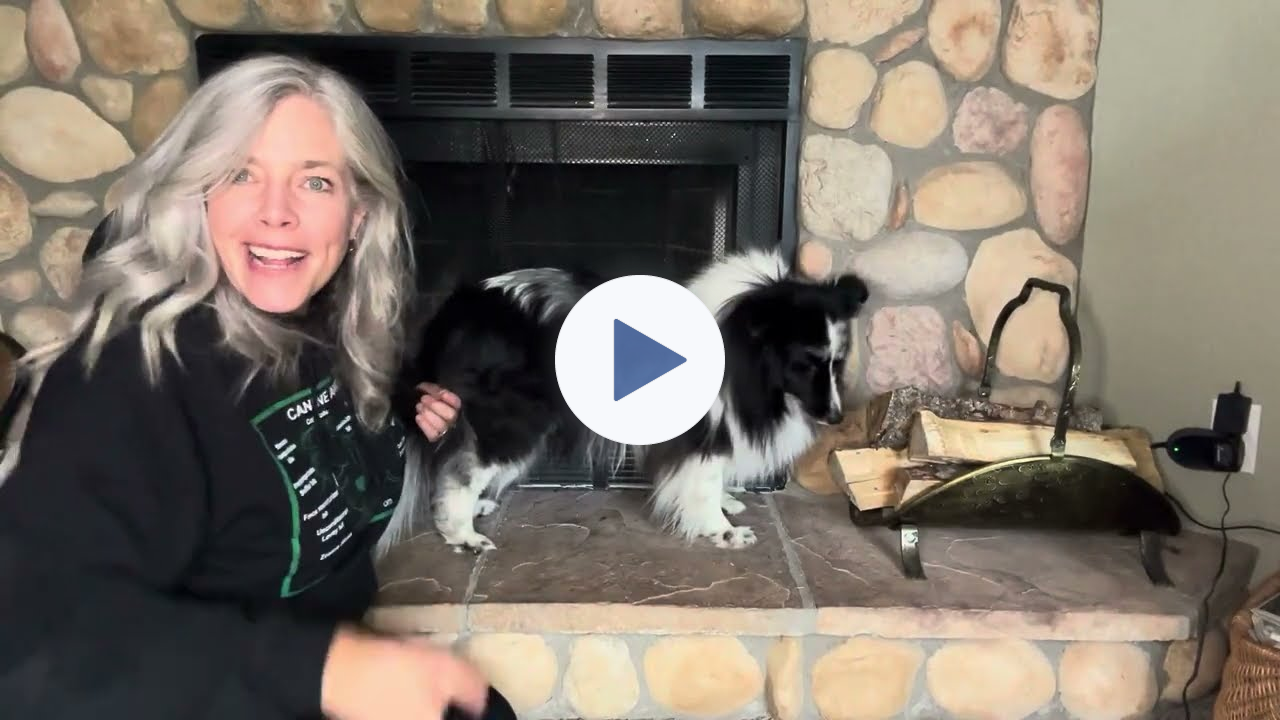 FourLegRehabMinute-TarsalHyperextensionBrace
