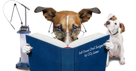 LASER THERAPY-myths