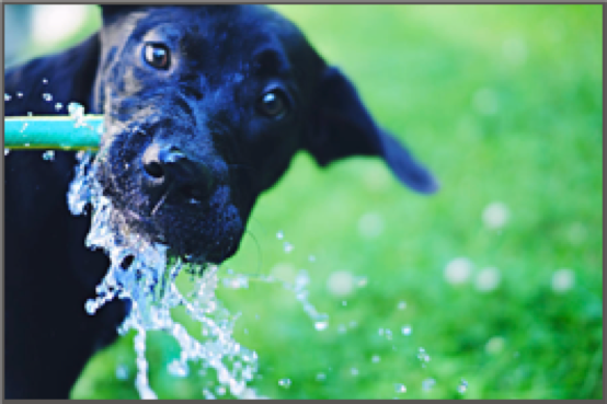Hydrotherapy