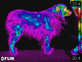 Infrared Thermography