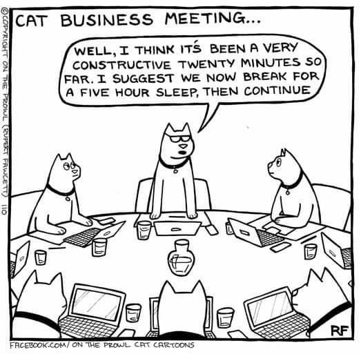 Cartoon