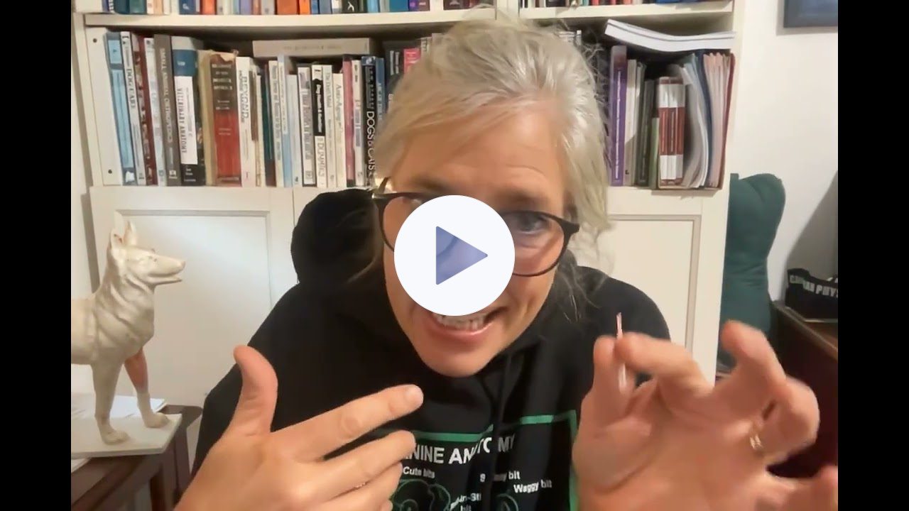 FourLegRehabMinute-AcupunctureTypes&DryNeedling