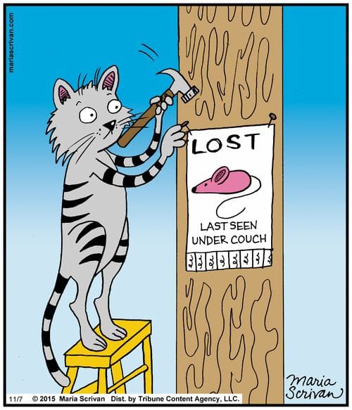 Cartoon