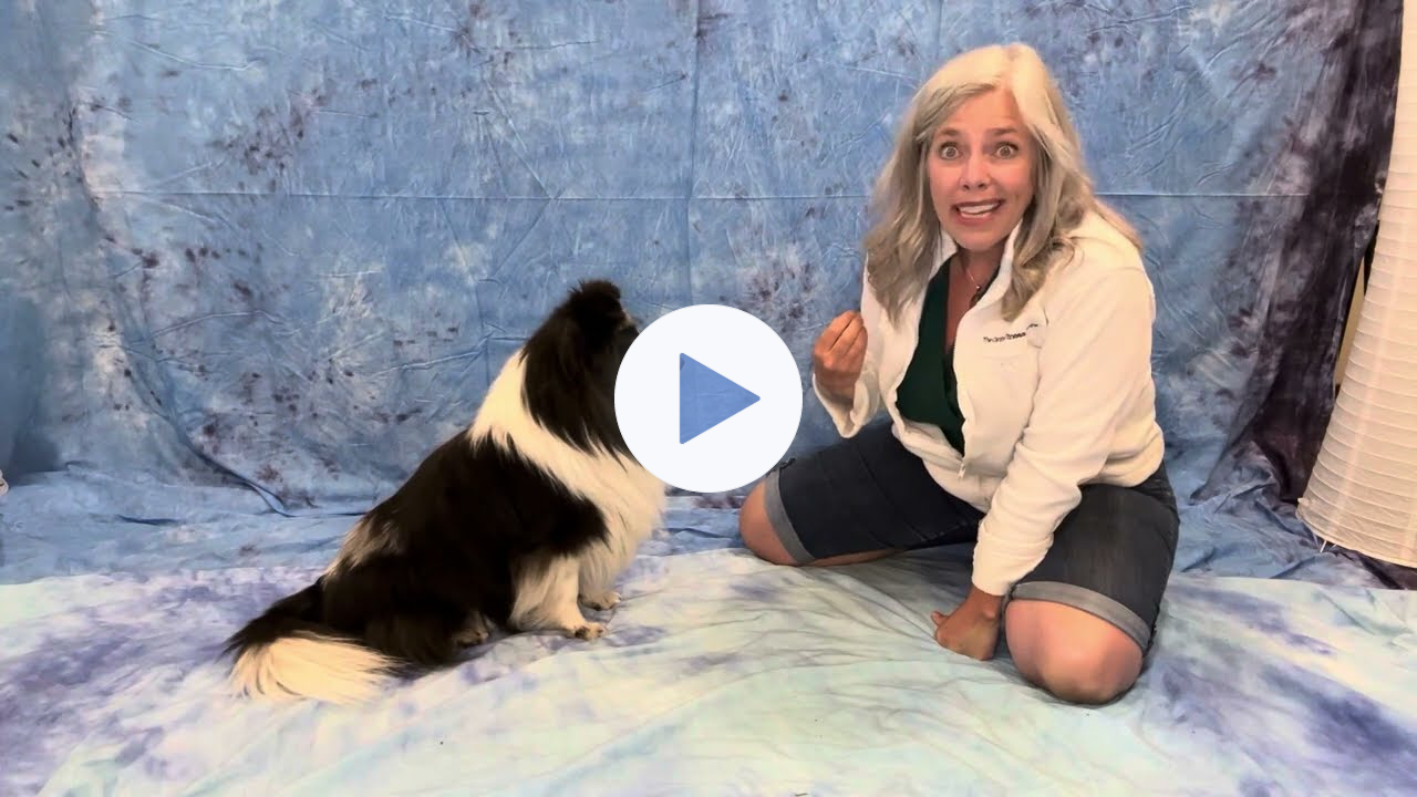 FourLegRehabMinute-VestibularFlop&Flip