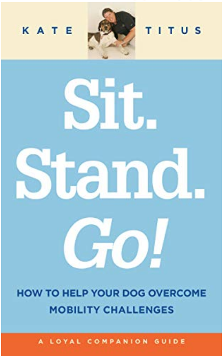 Sit. Stand. Go