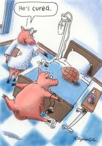 Cartoon
