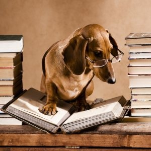 Daxie Research