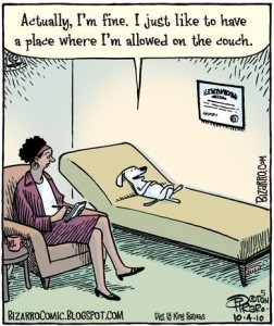 Dog on Couch!