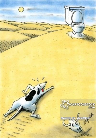 Cartoon