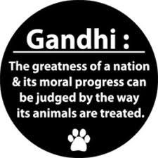 Gandhi Animal quote