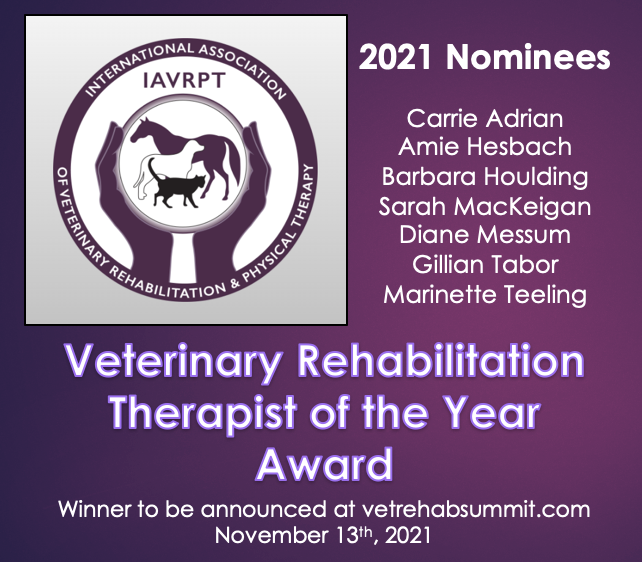 Veterinary Rehabilitation Therapist of the Year Award