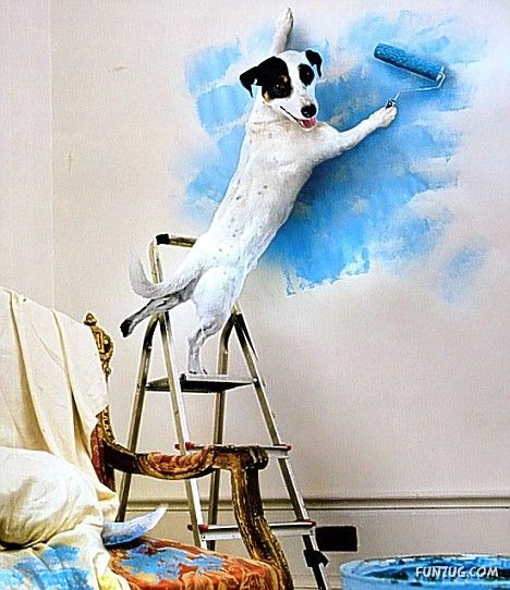 Paint Roller Physio