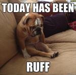 Today has been Ruff