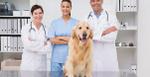 Get vets to refer!