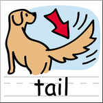 TAILS