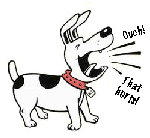 Dog Fatigue