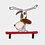 Balance Dog