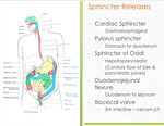 Sphincter Release