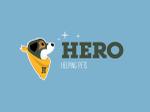 Hero Braces