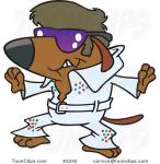 Dog kicking - Elvis Dog