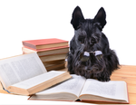 Dog Reading Newsletter