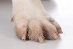 Toes!